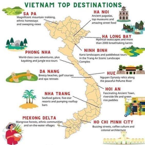 แผ่นทีเวียดนาม